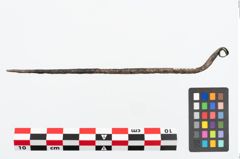 Foto von Bronzerollenkopfnadel (NHMW-PRAE-025599a)
